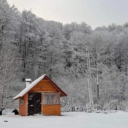 Апартаменты Lelly *